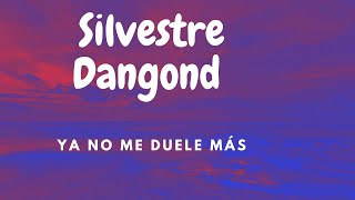 Silvestre Dangond - Ya No Me Duele Más (LETRA)