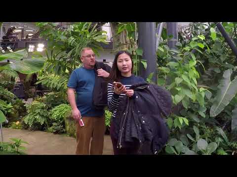 A tour inside Amazon Spheres!