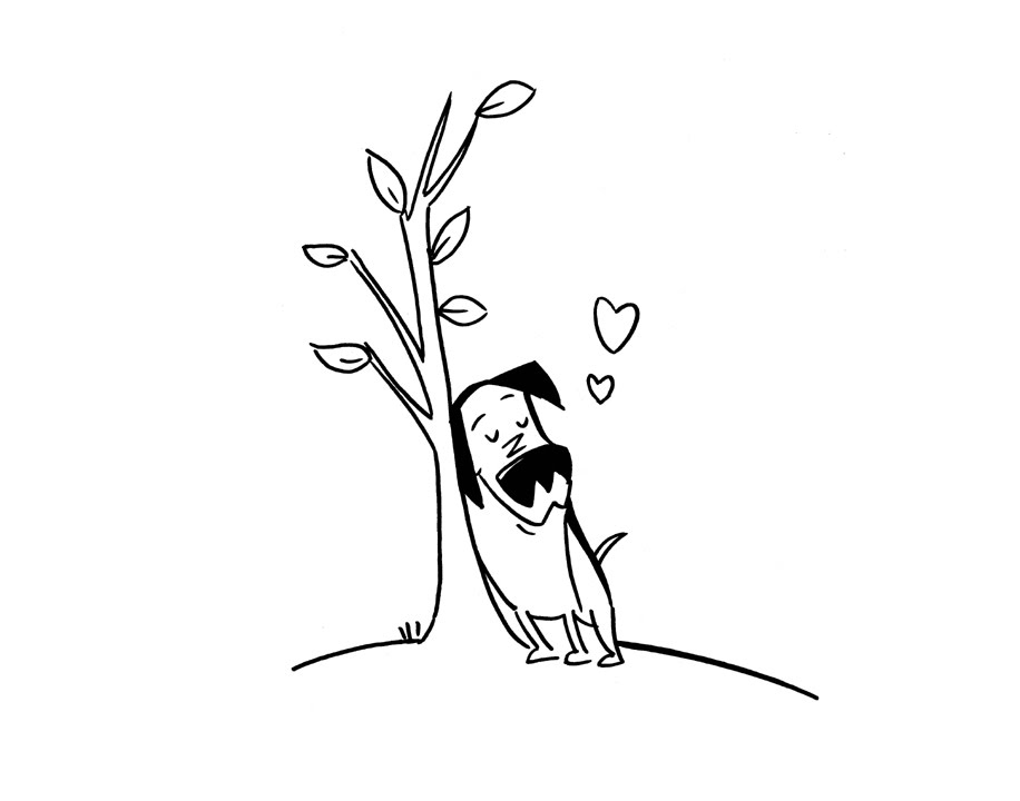 Lakewood Tree Program