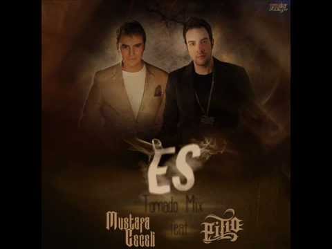 Mustafa Ceceli feat. Pit10 - Es (Tornado Remix)