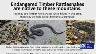 Emergency responders called to rattlesnake bite victim near Tekoa Mountain in Montgomery