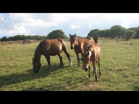 TREKKING IN MONTAGNA Tra i monti delle Marche (Lacio Drom) Viaggi in auto 