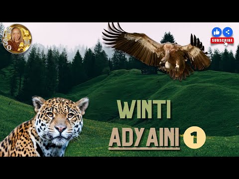 Zoned in on -WINTI - ADYAINI 🐆 (part 1 of 2 )