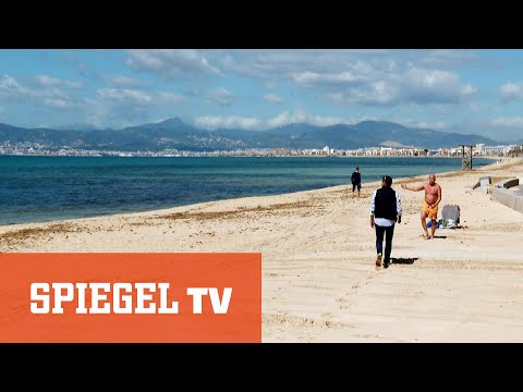 Die Party ist vorbei: Neue Armut auf Mallorca | SPIEGEL TV