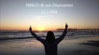 LIBROS SAPIENCIALES ( Soule ).- RINGO & sus Diamantes  C  2016