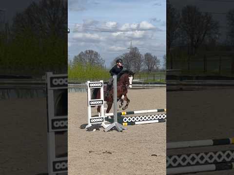 Meine kleine Rakete🚀 #springen #rakete #music #bella #reiten #riding #jumping