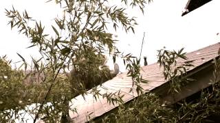 Joy Division -The Eternal