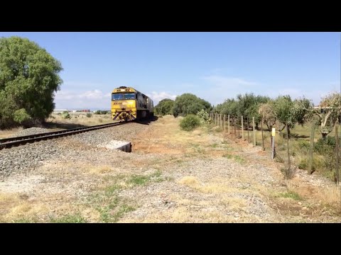 Pacific National 7AX7 at Virginia (with Double Stacking)