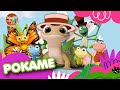 Bebek Nyosor Dan Animasi Ayam Pok Ame Ame Lagu Anak Anak