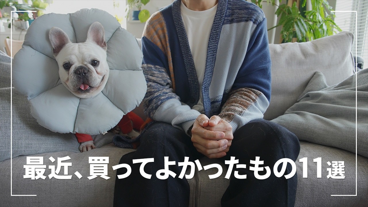 【購入品】最近、買って良かったもの11選【ベストバイ】