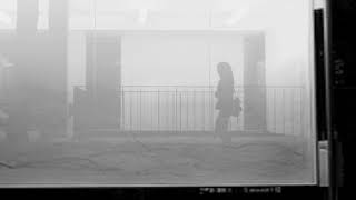 Robyn Hitchcock - Glass Hotel (Live)