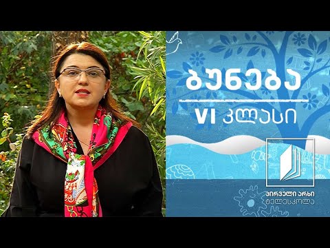 ბუნება, VI კლასი - გრძნობათა ორგანოები #ტელესკოლა