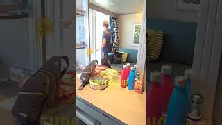MSC Virtuosa Cabin Tour | Balcone Deck 9 (9276)#MSCVirtuosa #CabinTour #Crociera #TravelVlog  #MSC