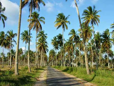 Chickera - Amalabo [AUDIO OFFICIAL]