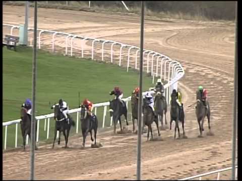 Dortmund, Racebets.com-Rennen, 30.12.2012 - Siegerin: La Strada