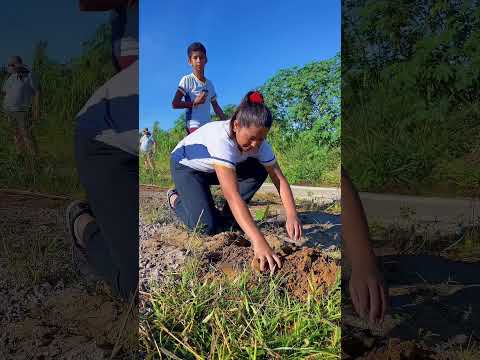 PLANTIO VOLUNTÁRIO DE MUDAS NATIVAS FORTALECENDO A PRESERVAÇÃO AMBIENTAL EM CAMPO NOVO DE RONDÔNIA