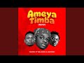 Ameyatimba Remix