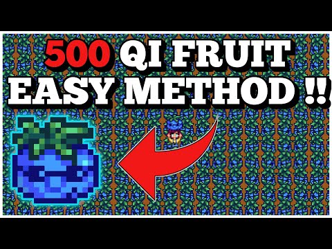 Stardew Valley 1.5 | 0 Effort Method To Get 500 QI Fruit
