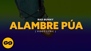 Cover art for Alambre Pua