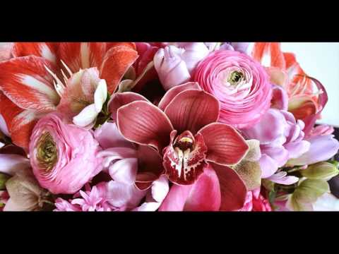 11 Wadih El Safi & Sabah   Hasadetna El Alam