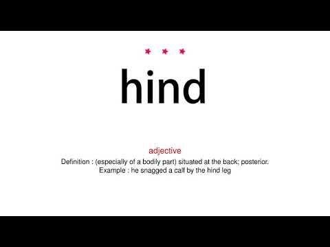 How to pronounce hind - Vocab Today