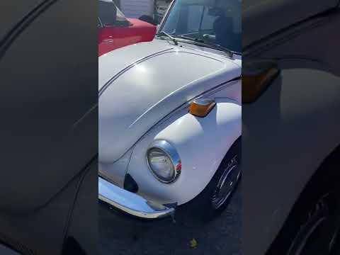 1979 Volkswagen Beetle (CC-1649820) for sale in Westford, Massachusetts