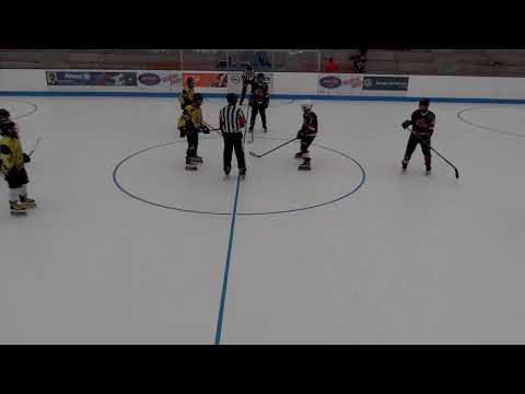 SHC Givisiez Novice - Bassecourt