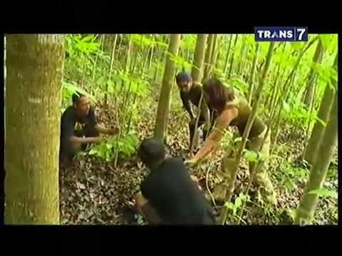 Berburu Trans 7 - 17 Februari 2015