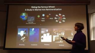 Riding the Ferrous Wheel: A study in Marine Iron Remineralization