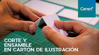 ¿Cómo hacer un corte y ensamble en cartón de ilustración perfecto | Ceren +