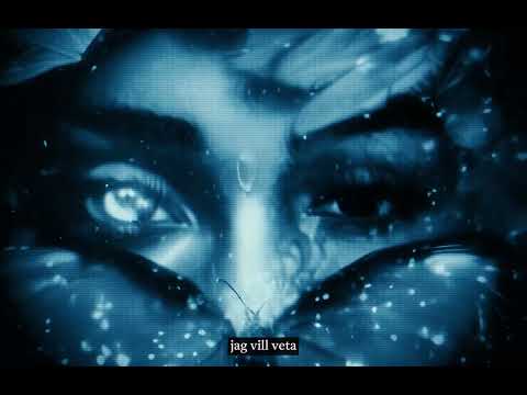 Ant Wan - Faller (Lyric Video)