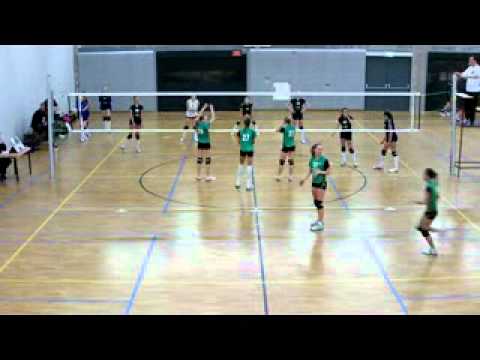 Scylla MB1 - Alterno MB1