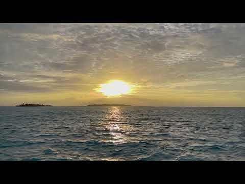 The cherished Maldives 7  4 K ULTRA HD