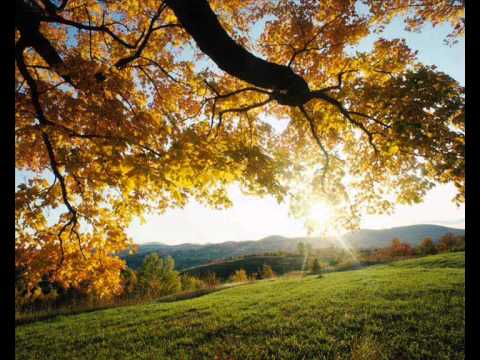 Tony Igy -- It Is Lovely (Chillout Rework 2012 )