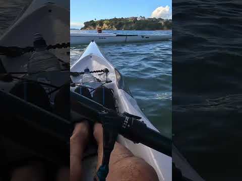 Surfski remount fail #kayak #surfski #fail #paddling