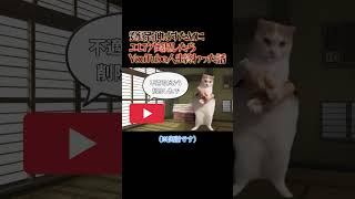 エ〇ゲ実況したらYouTube人生終わった話 #猫ミーム #shorts