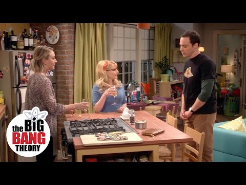 Sheldon's Birthday Gift for Amy | The Big Bang Theory
