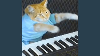 keyboard cat swag Music Video