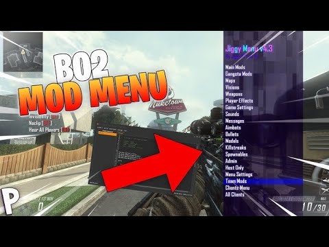 Bo2 Multiplayer Mod Menu