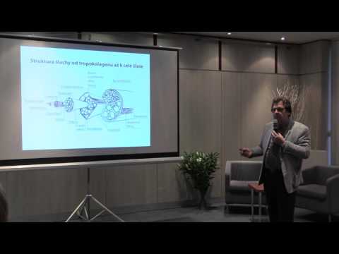 Semináře ASI 2016 (05) - Lidské tělo koruna stvoření - Dalibor Cichý