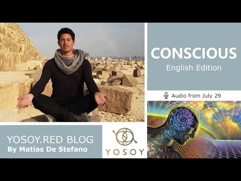 Day 360 - CONSCIOUS - Matías De Stefano - YOSOY.RED BLOG: Toroid-Physical-Cancer, Read by Carey 7/29
