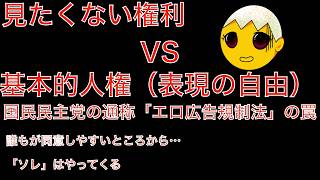 【国民民主党】見たくない権利VS基本的人権（表現の自由）【エロ広告規制法案】