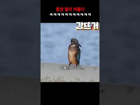 그냥 사냥을 못함 ㅋㅋㅋ