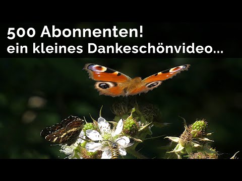 500 Abonnenten Jubiläumsvideo - ein kleines Dankeschön an euch!