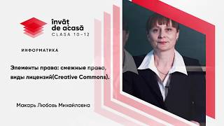 "Элементы права: смежные права, виды лицензий"