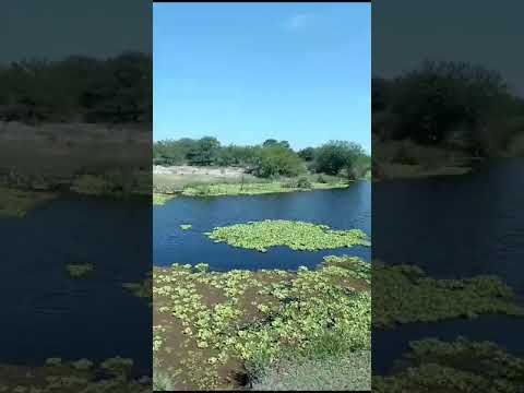 Turismo Extremo "El Zorrito'Las Tunas Reconquista Santa Fé Argentina