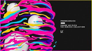 Phunkadelica - Pensiero Stupendo video