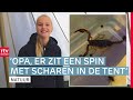 Oei! Een schorpioen meegenomen van vakantie | ROEG! | RTV Drenthe