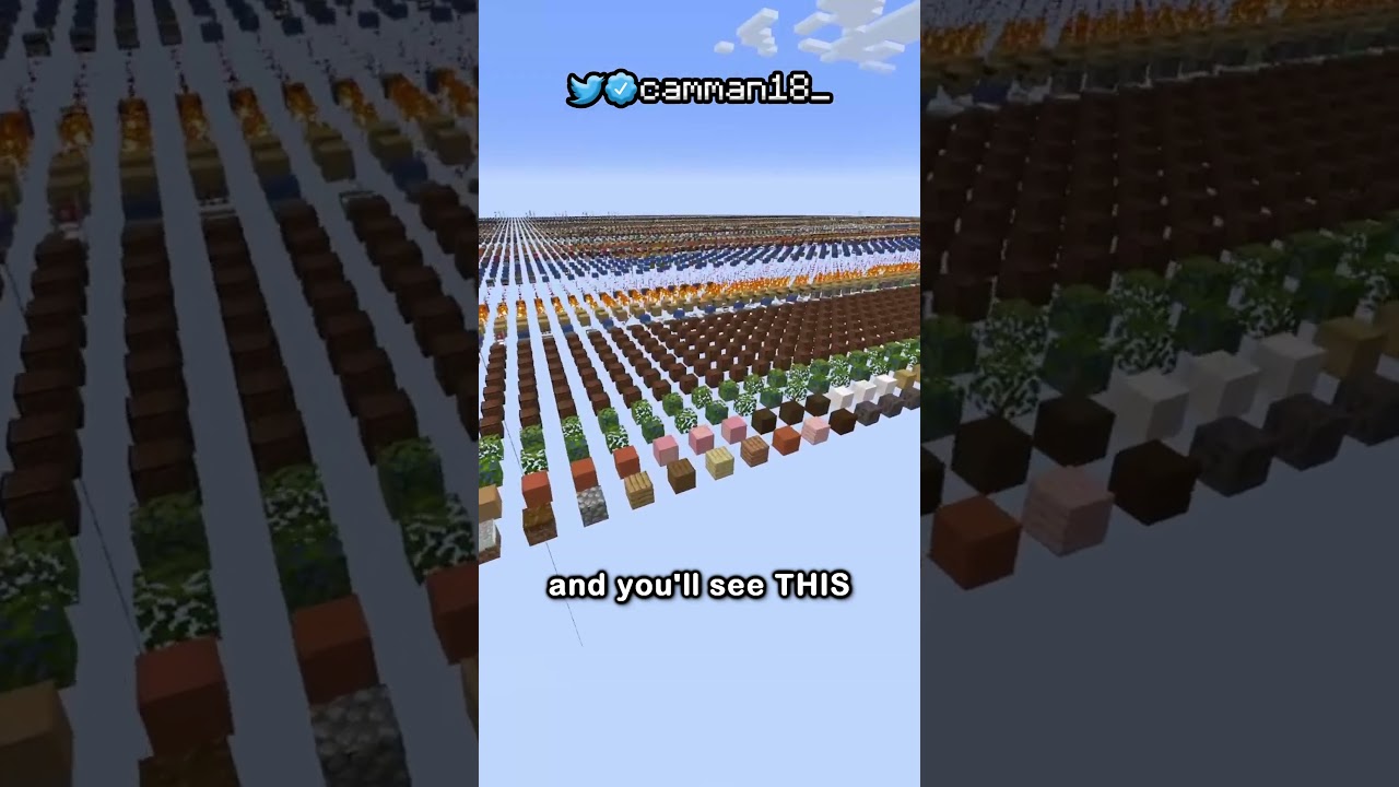 the secret minecraft world type...