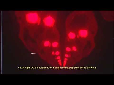 XION. - monsters (Official Audio)